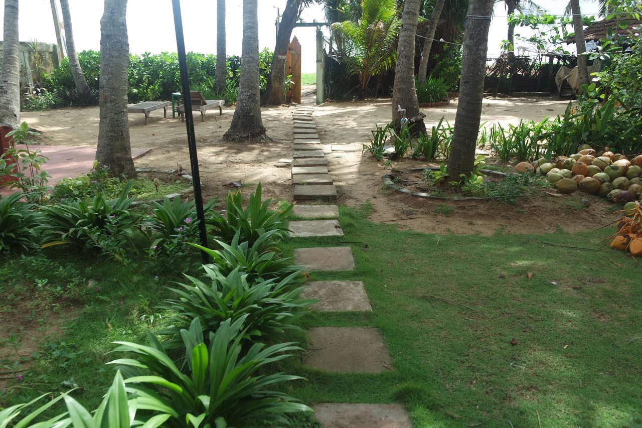 Dephani Beach Hotel ネゴンボ エクステリア 写真